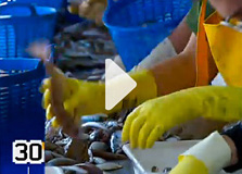 La pesca a la Mediterrània (TV3)